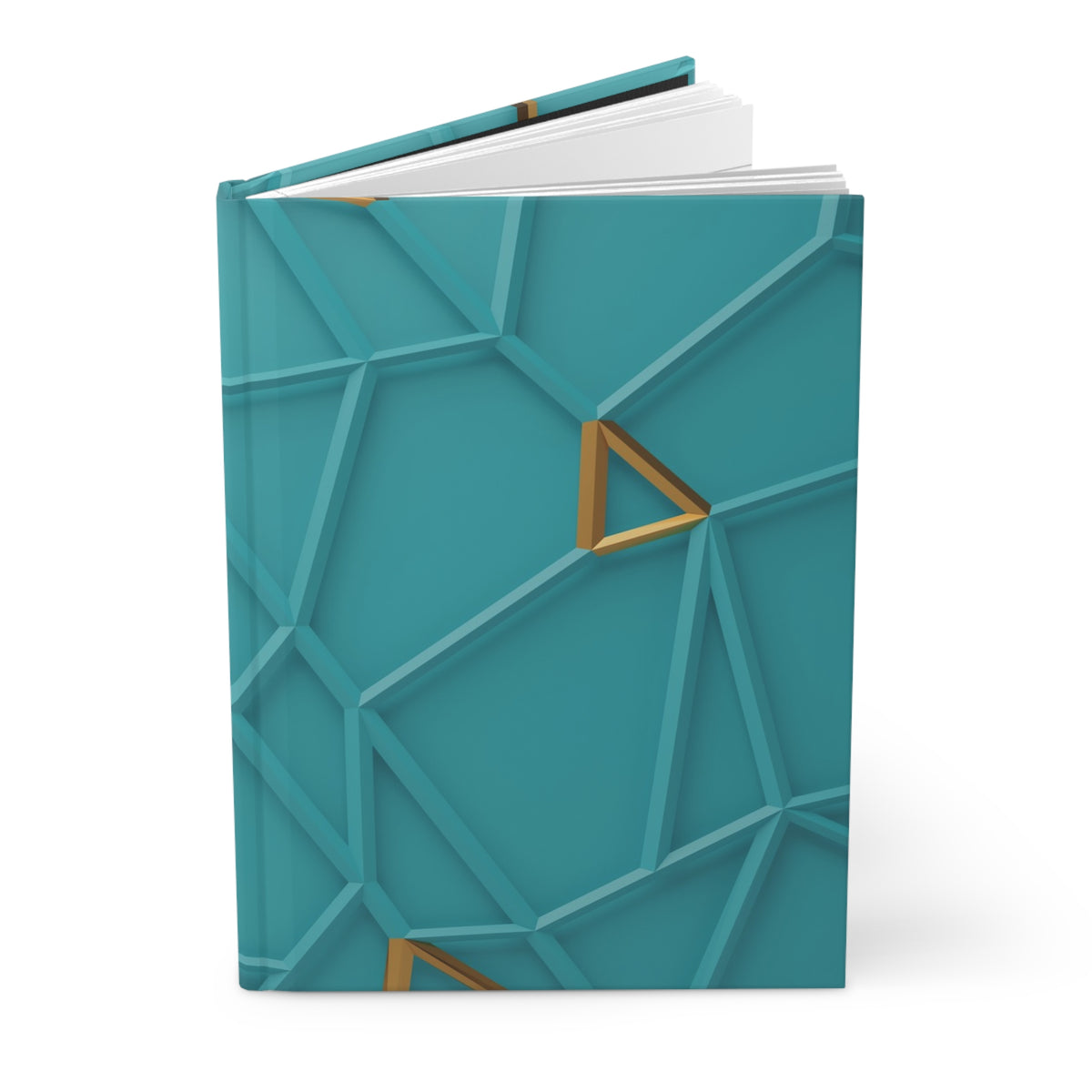 Aqua Maze Journal